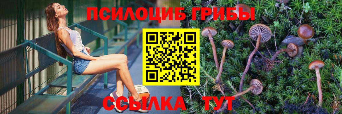 Псилоцибиновые грибы Psilocybine cubensis  Галлюциногенные грибы Cubensis  Скопин  Вход с VPN 