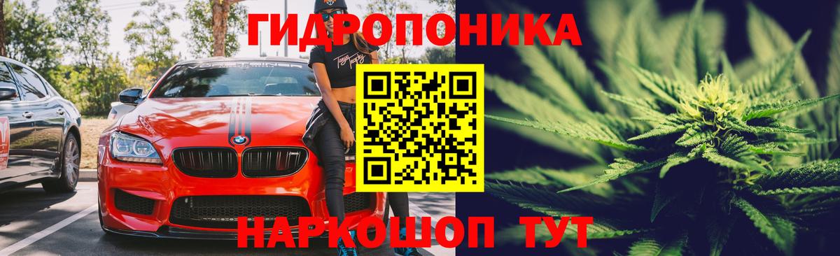 Бошки марихуана Ganja  МАРИХУАНА планчик  Конопля Ganja  Вход с VPN  Каннабис LSD WEED  Скопин 